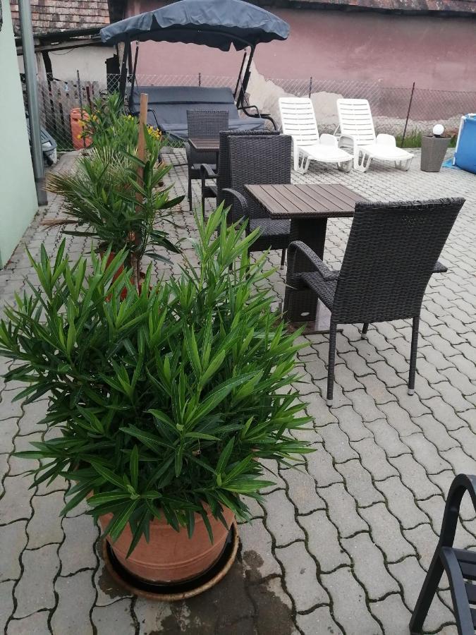 Attila Vendeghaz Tapioszentmarton Hotel Exterior photo
