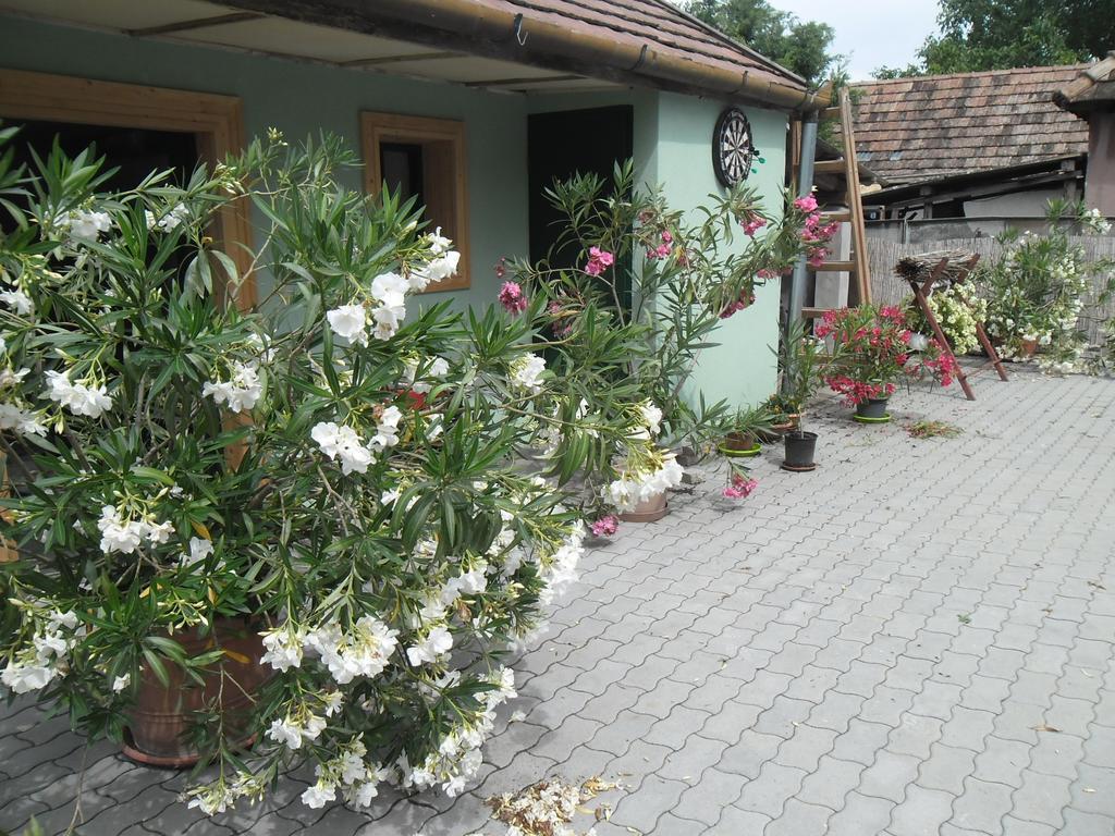 Attila Vendeghaz Tapioszentmarton Hotel Exterior photo